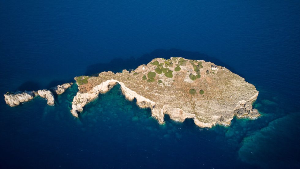 vrahonisida